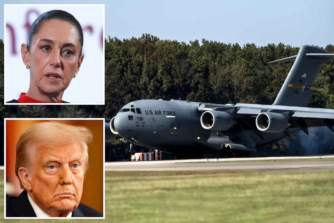 Mexico refuses to accept US deportation flight as Trump's immigration overhaul gets into full swing