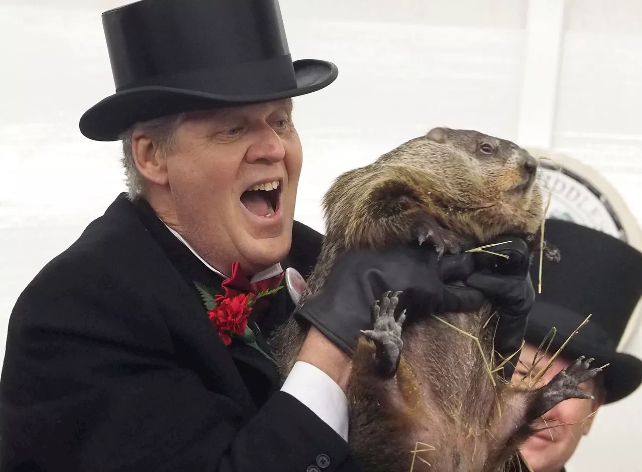 groundhog day 2025 prediction