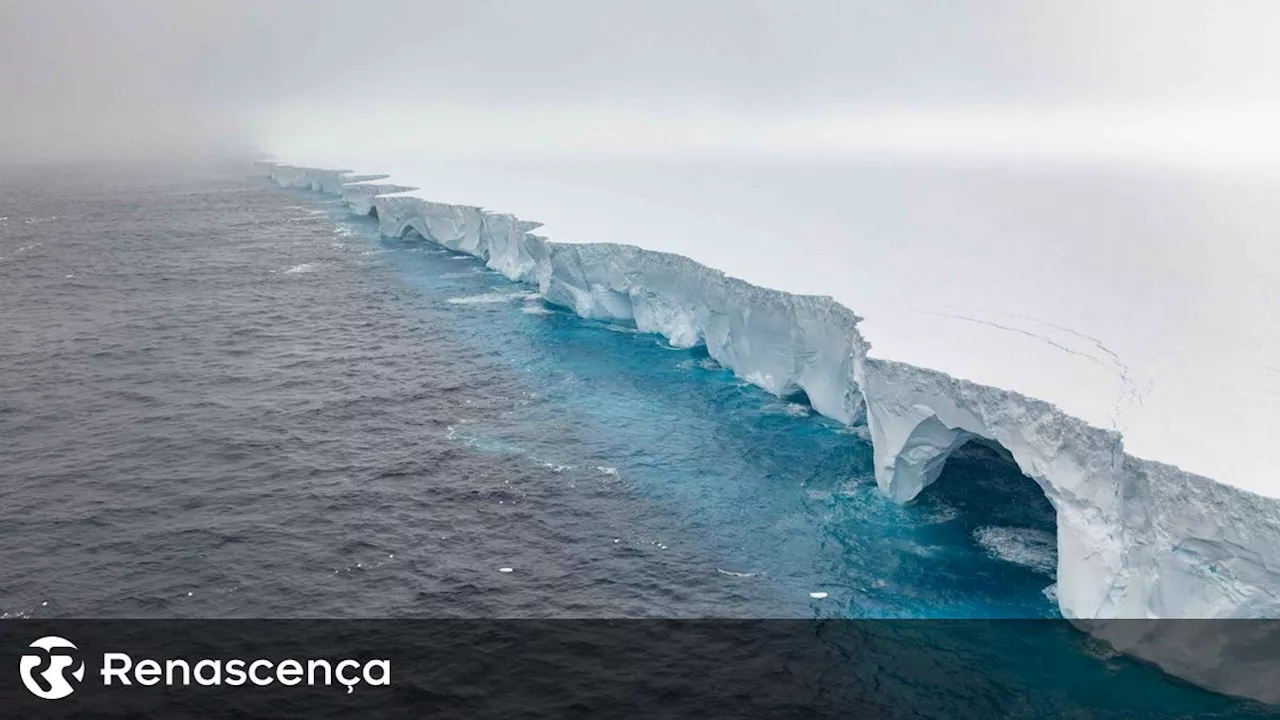 Maior iceberg do mundo ameaça vida selvagem na Geórgia do Sul