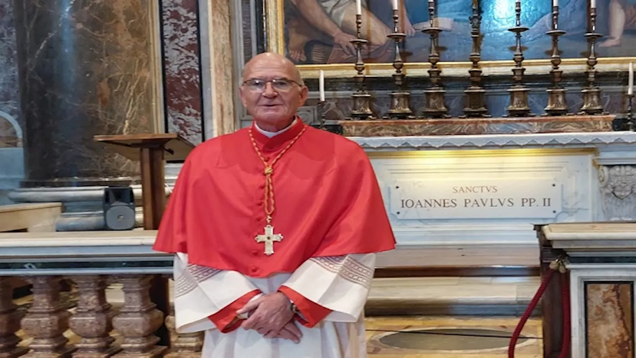 Cardinal Stephen Brislin Installed as Archbishop of Johannesburg