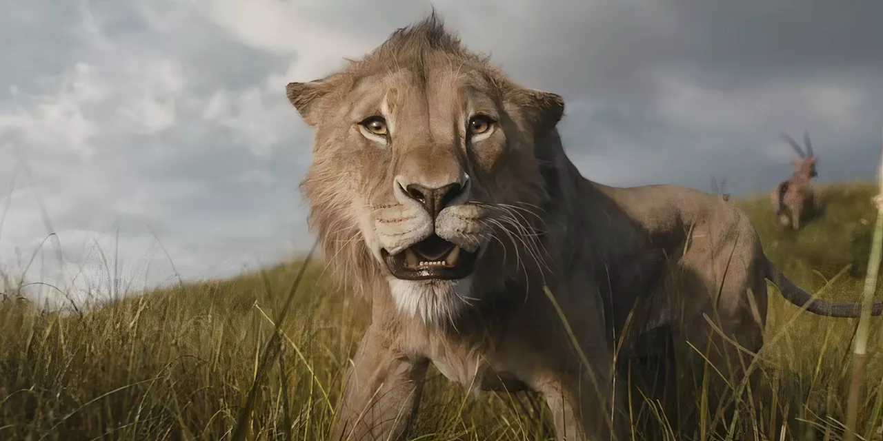 Barry Jenkins Won't Direct Another 'Lion King' Movie