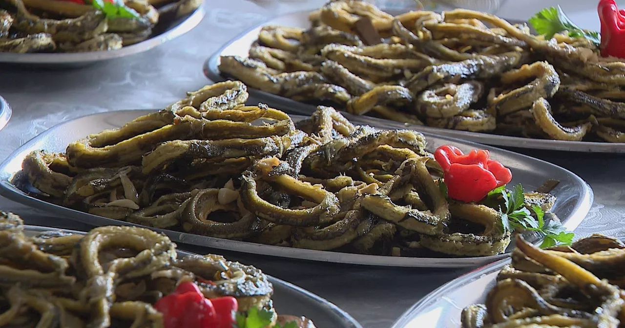 Festival da Enguia deixa pescadores sem mãos a medir no Alentejo