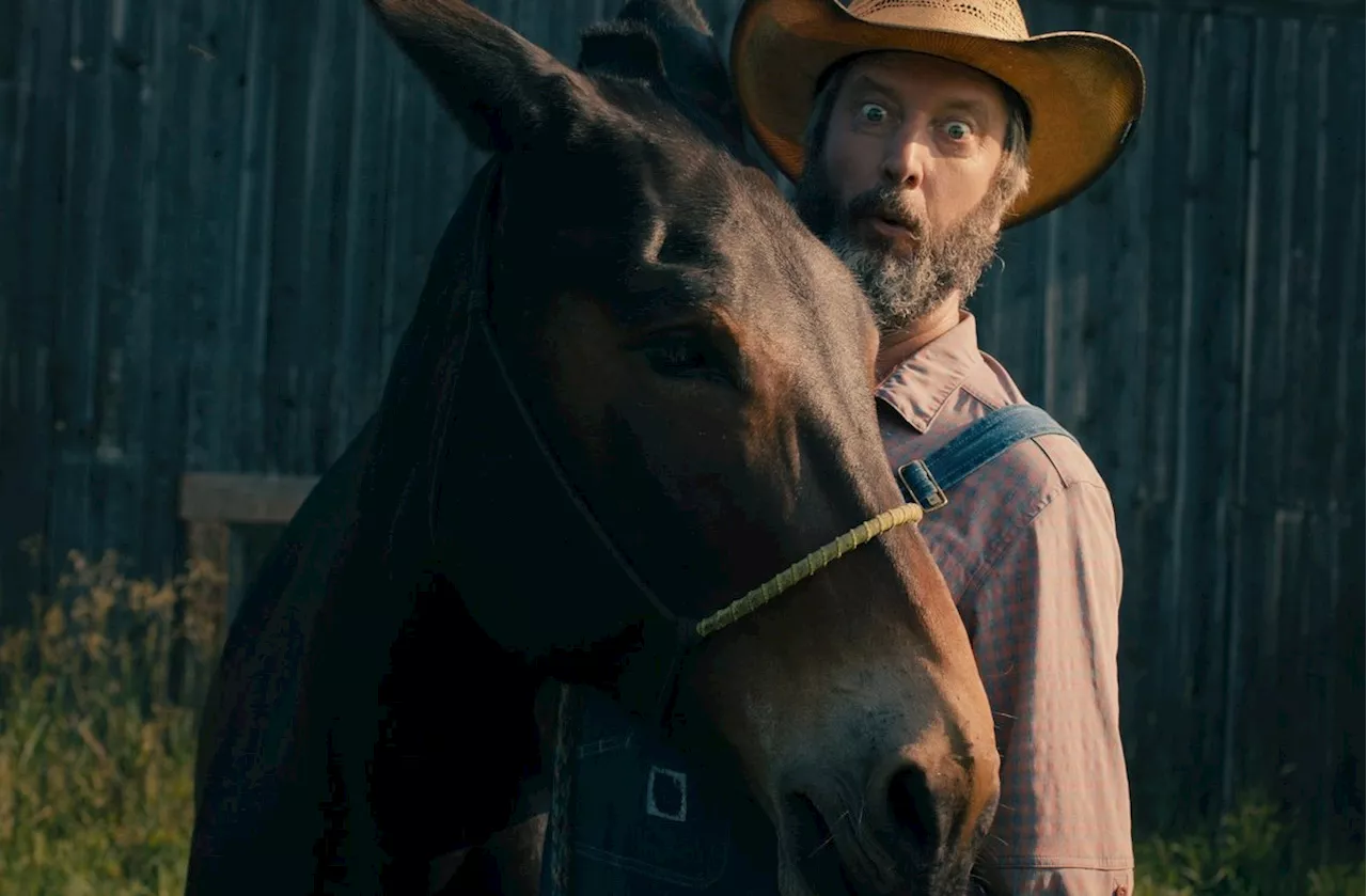 After years of secret pain from cancer, Tom Green finds peace in rural Canadian life