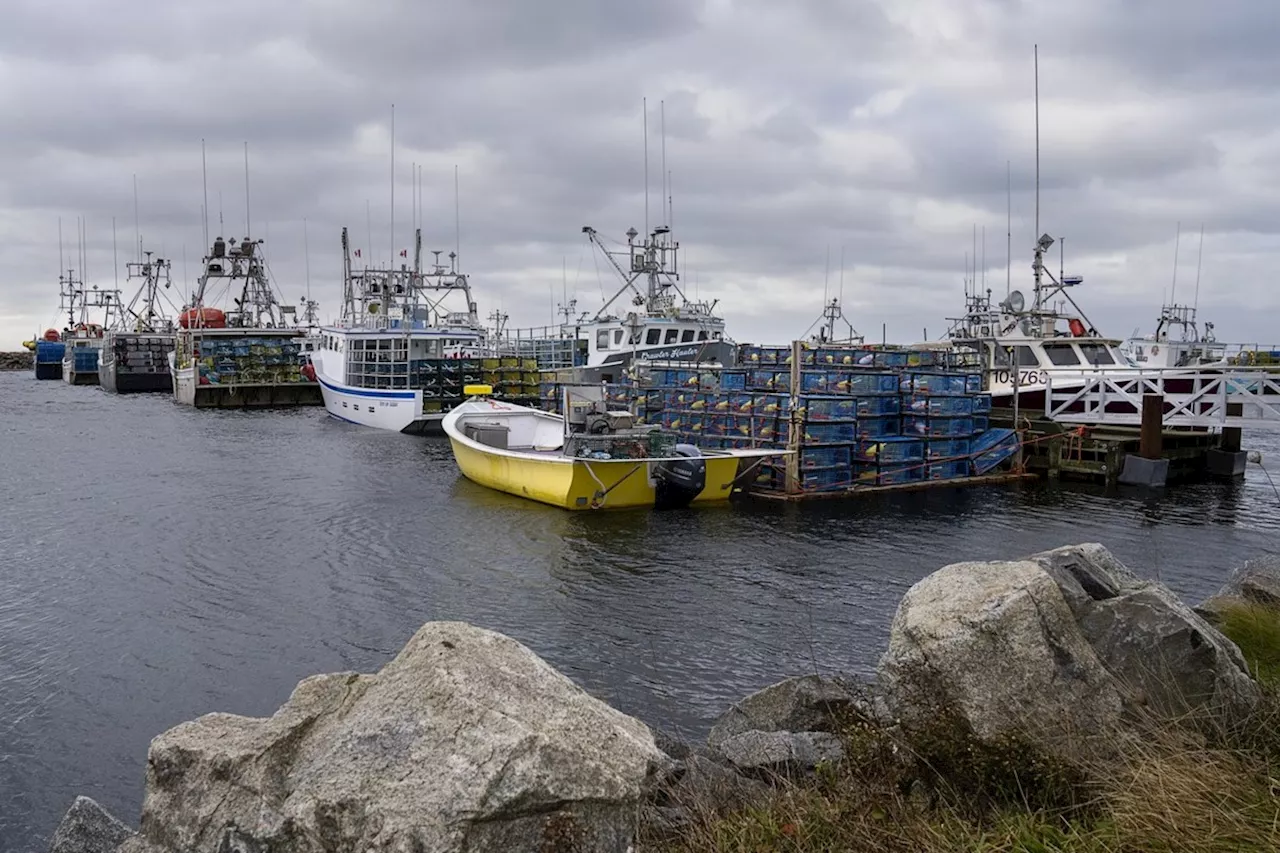 Mi'kmaq chiefs in Nova Scotia reject latest federal offer for a livelihood fishery