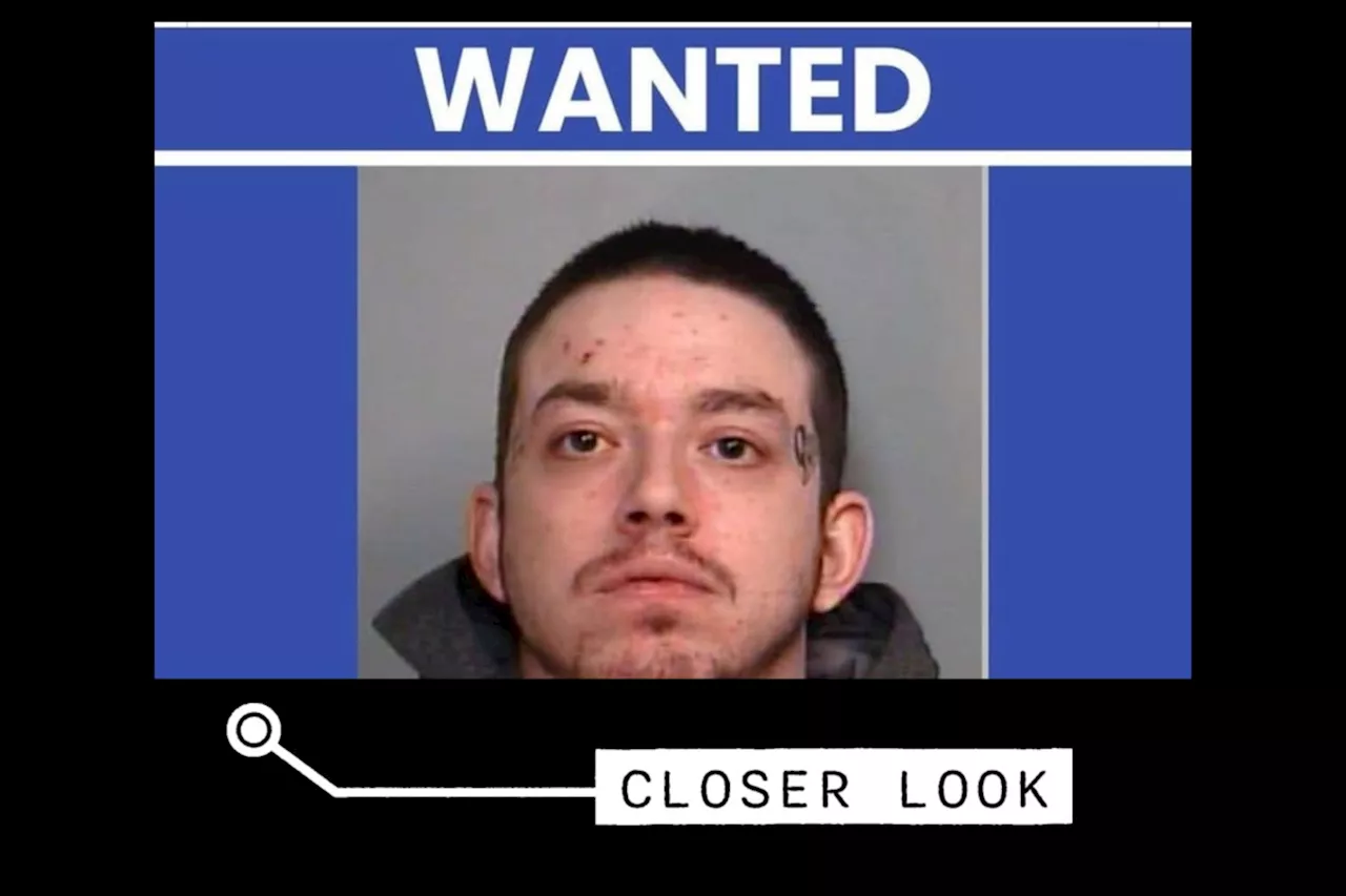 Wanted Man Trolls North Bay Police on Social Media