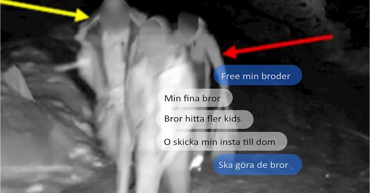 Här är kontraktsmorden inifrån – se när barntorpeden grips