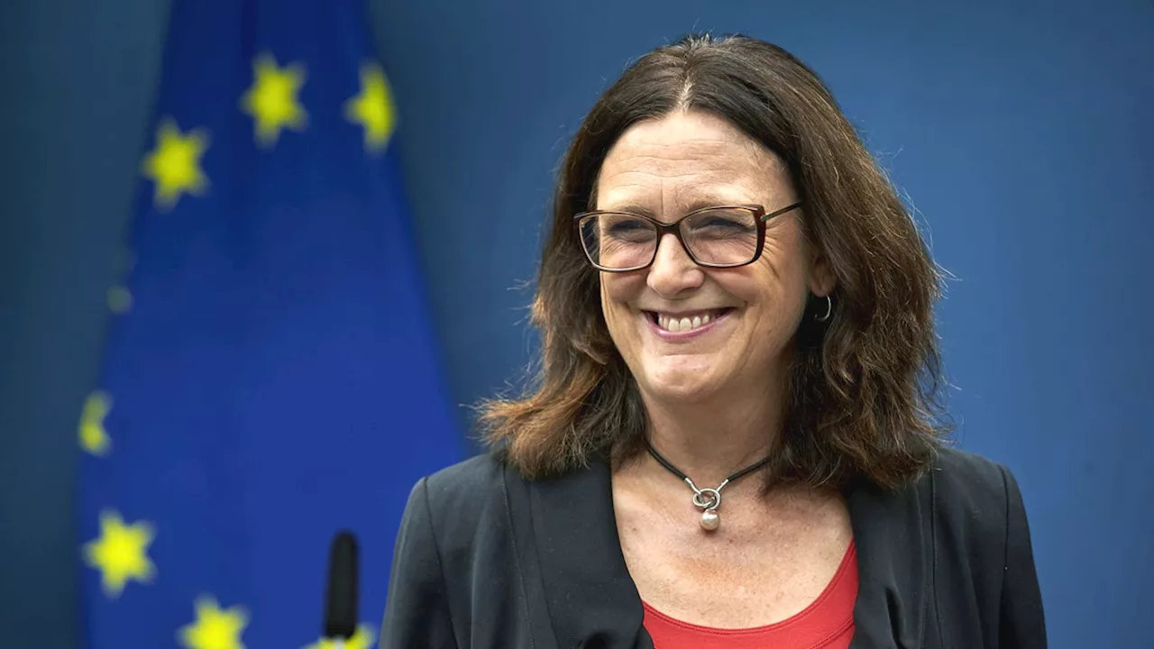 Malmström: EU måste sätta hårt mot hårt mot USA