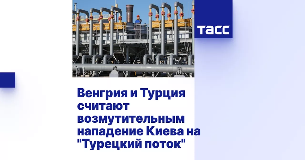 Венгрия и Турция требуют защиты «Турецкого потока» от украинских атак