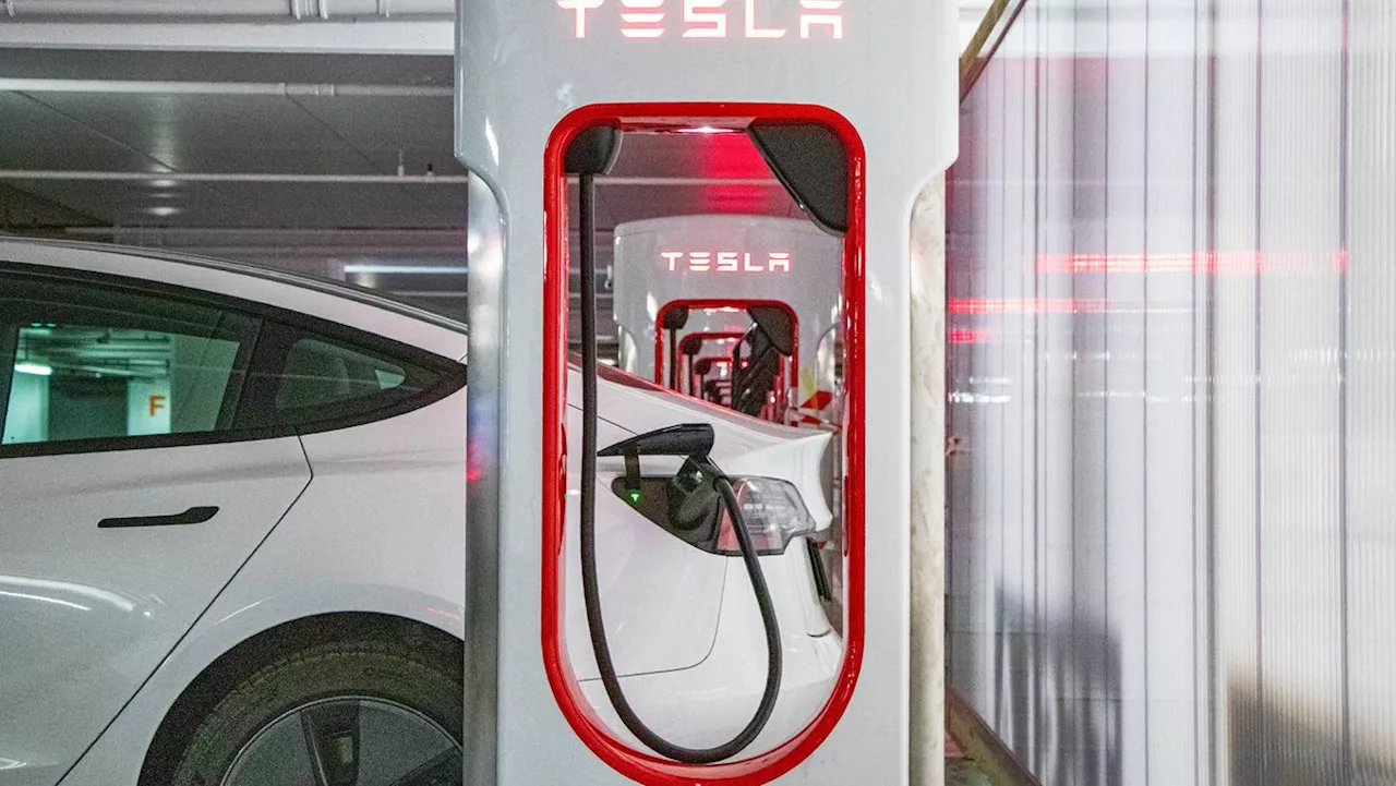 Tesla Varsler Anker Lagmannsretten