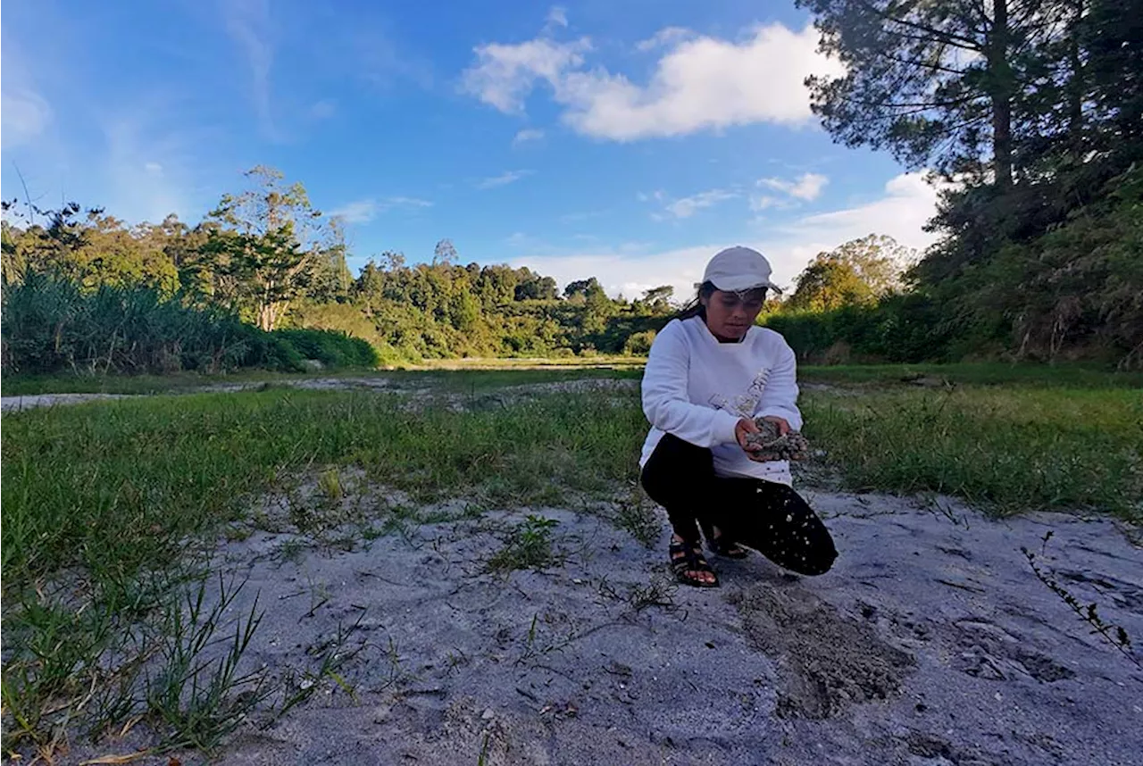 Kecemasan Petani Desa Ria-Ria Soal Food Estate