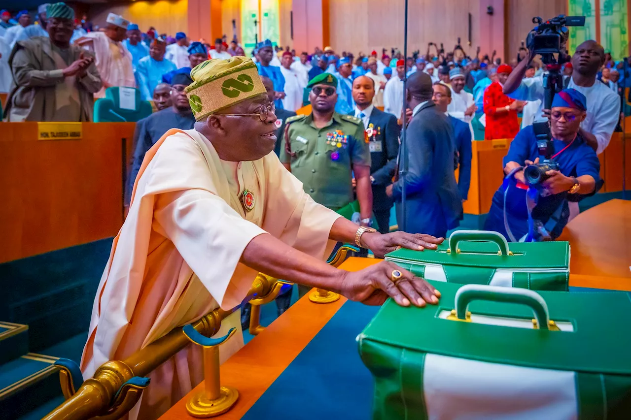 N'assembly postpones resumption to February 4 ‘over budget defence’