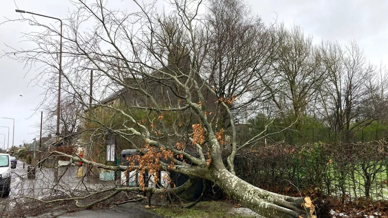 Cobra meeting held as UK faces weather warnings from new Storm Herminia