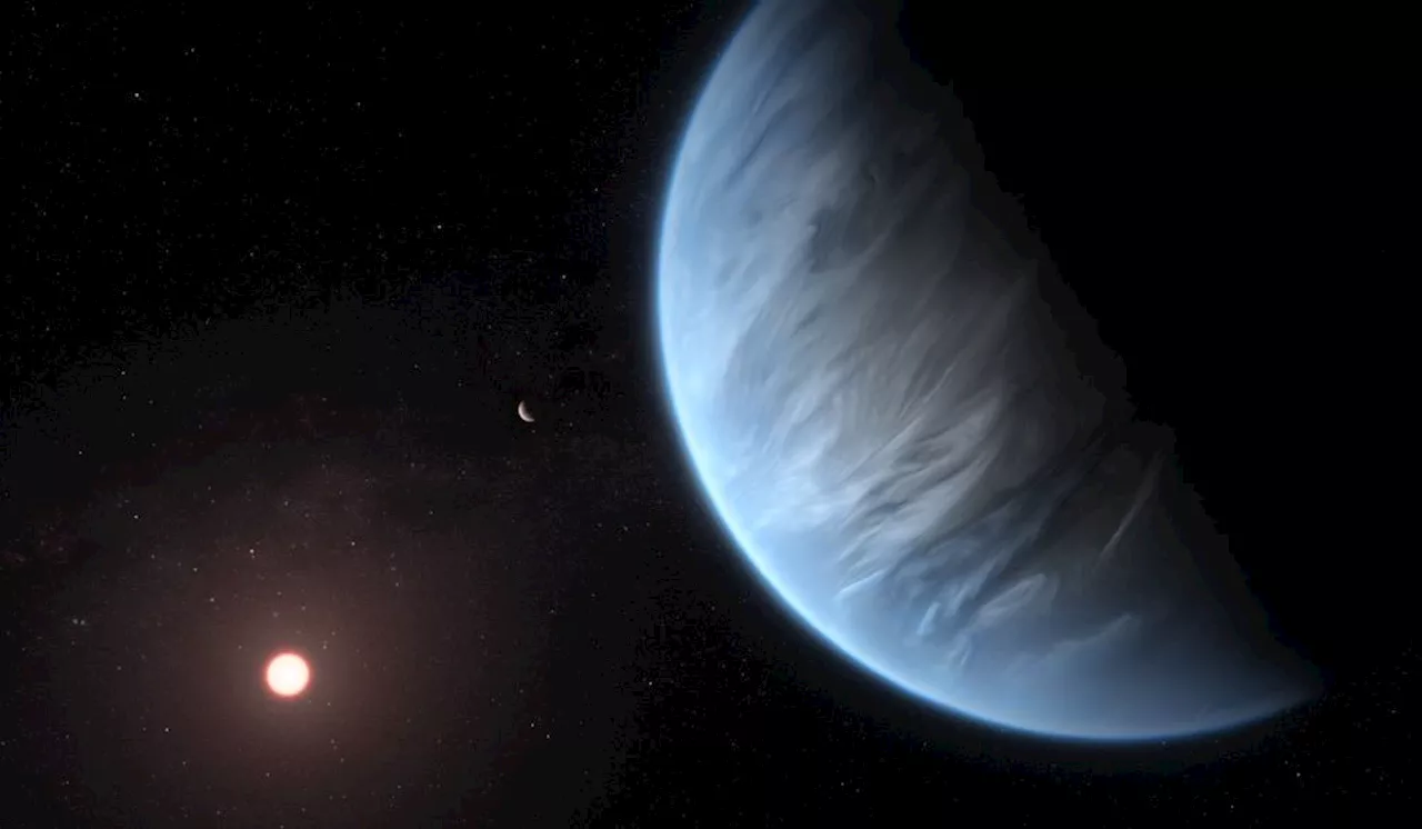 Hycean Worlds: Could These Ocean Planets Harbor Life?