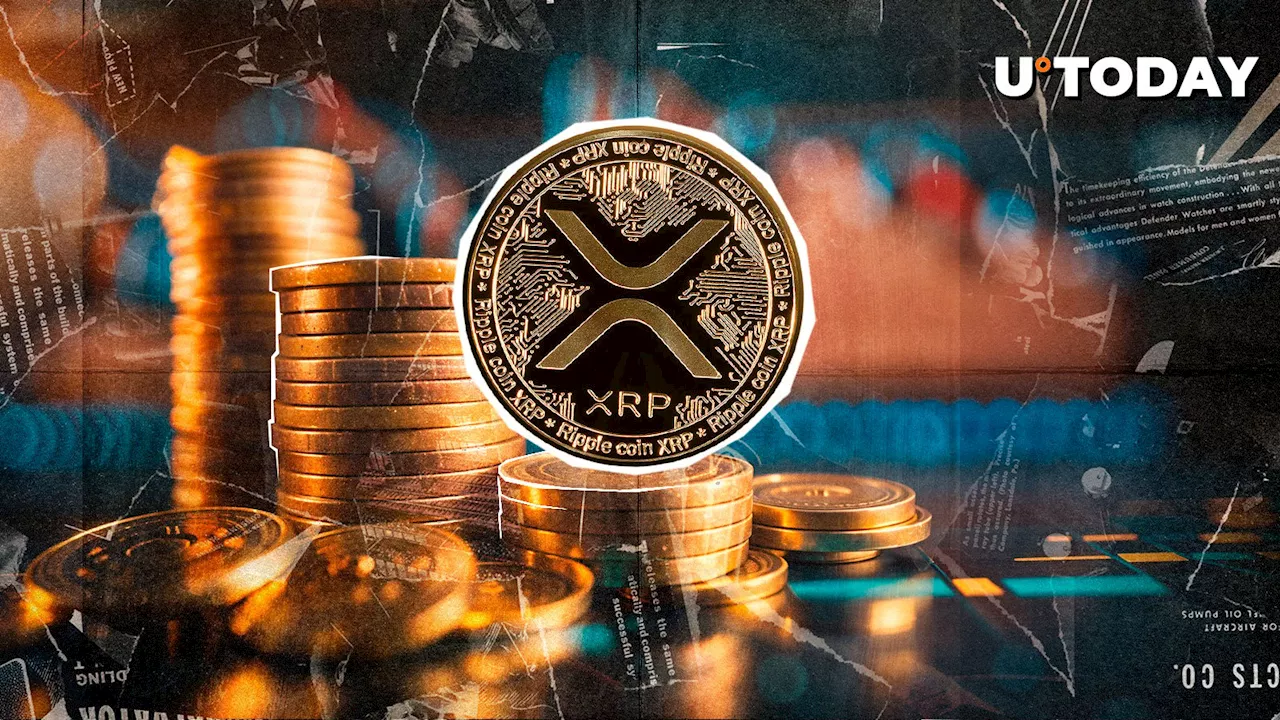 XRP Retains $3 Support as Pro-Bitcoin Supporters Go on Offensive