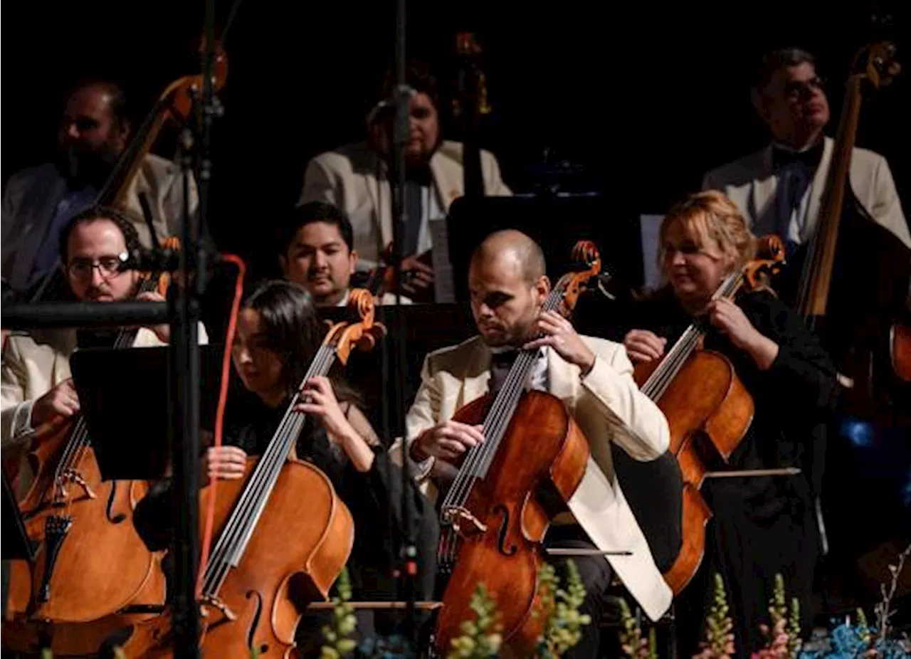 Saltillo: De Bellas Artes a la colonia Teresitas: Ofrecerá Filarmónica del Desierto concierto gratuito