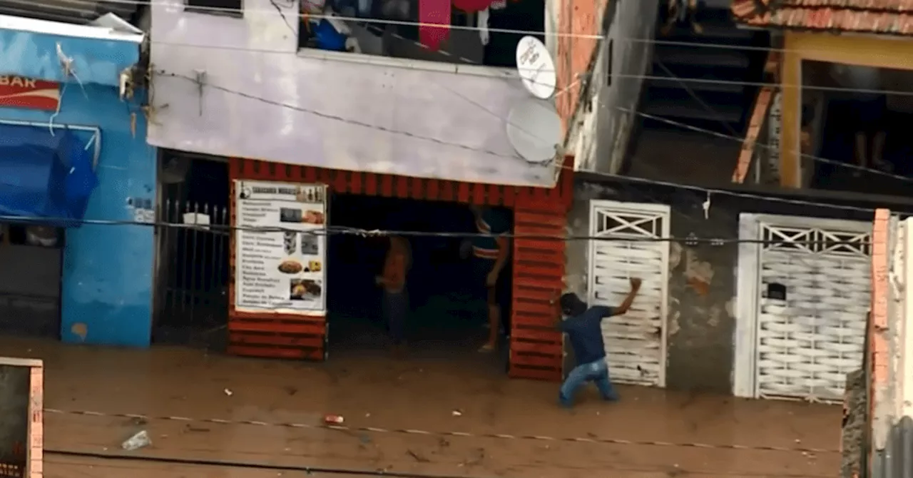 Chuva derruba árvores e causa alagamentos em SP; mulher está desaparecida