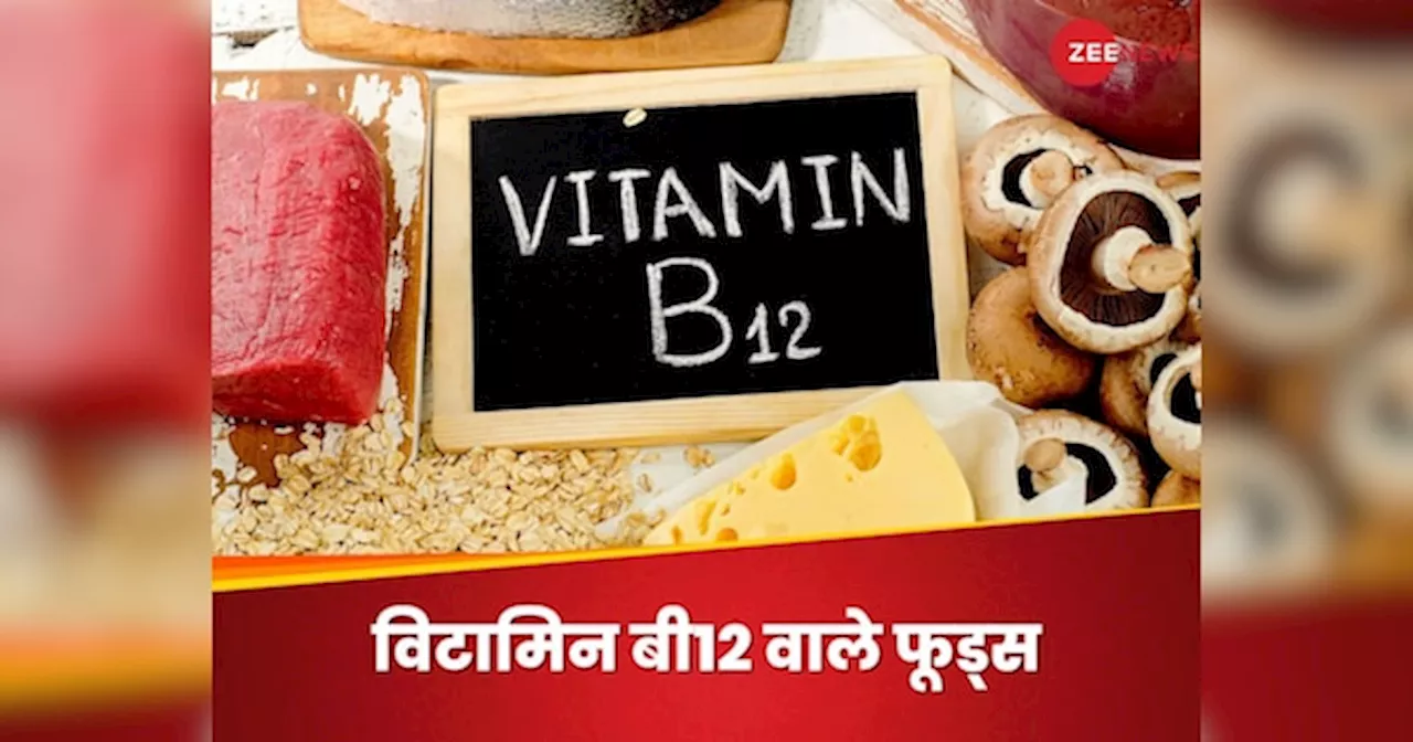 Vitamin B12: थके और टूटते शरीर में कूट-कूटकर एनर्जी भर देंगी ये 5 विटामिन बी12 वाले फूड्स