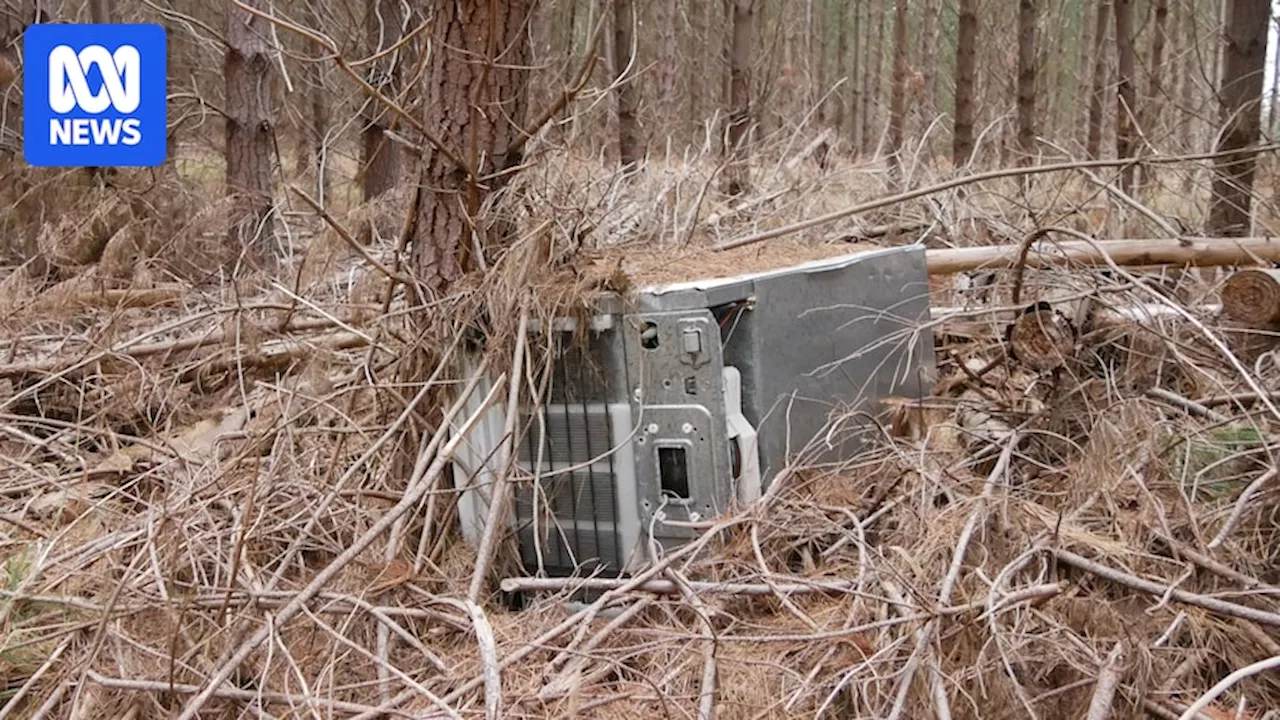 Rubbish dumping on rise as forestry companies warn of fire risk