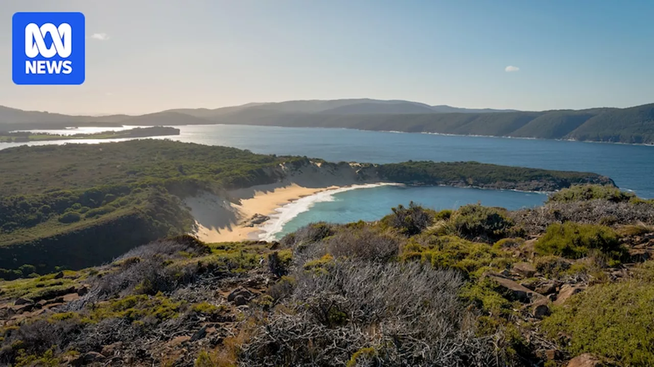 Tourist Couple Falls from Tasmanian Cliff, Man Rescued from Water