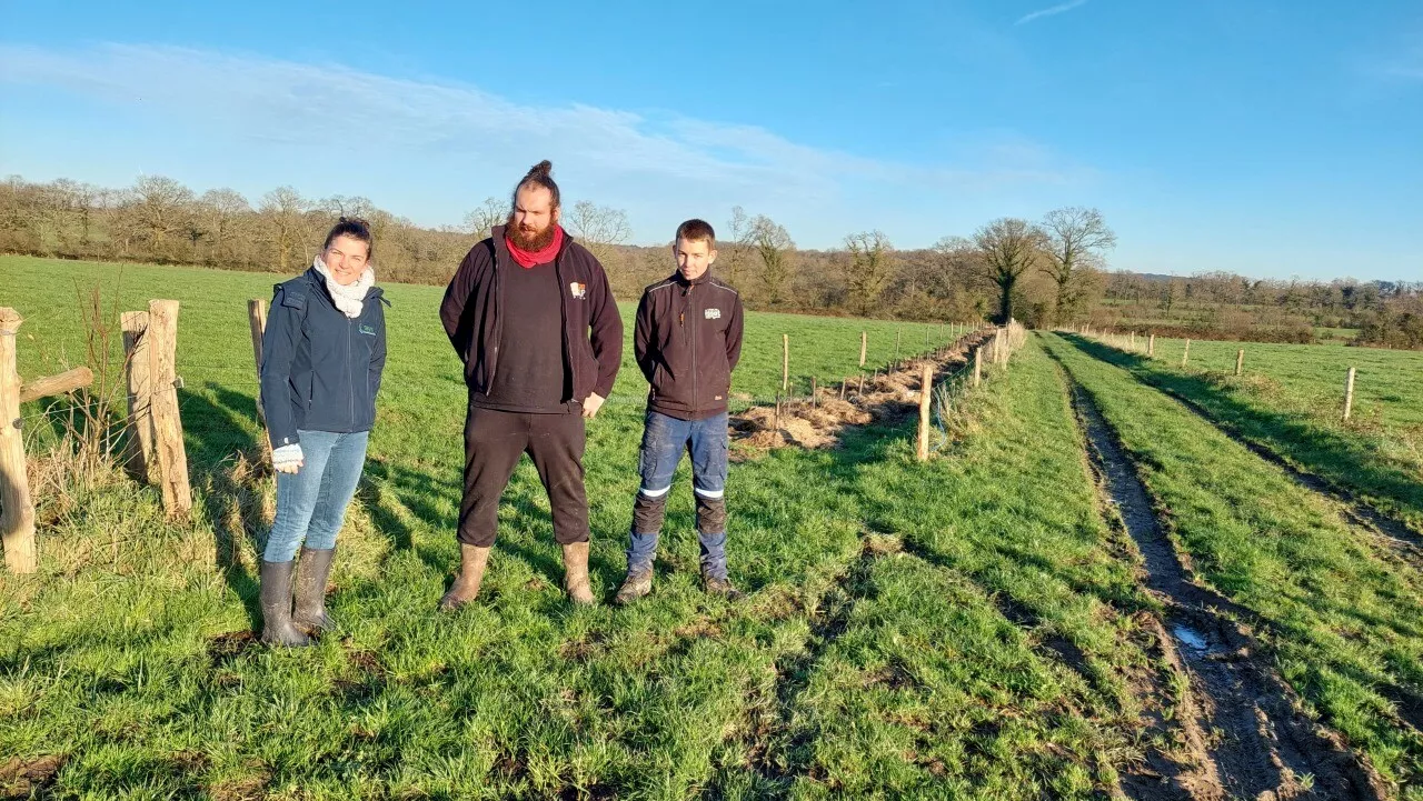 Ces agriculteurs de Loire-Atlantique replantent des haies et expliquent pourquoi c’est vertueux