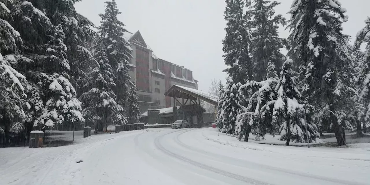 Avalanche Safety Course Held at Alyeska