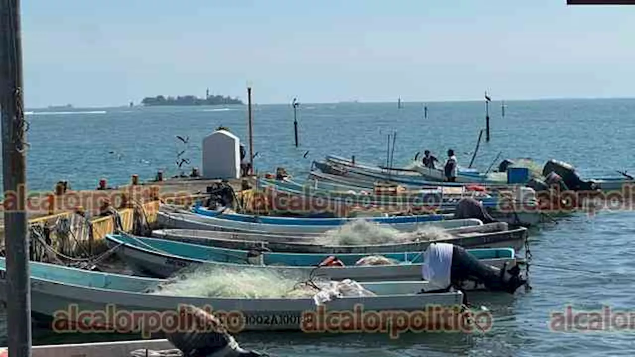 Pescadores de Veracruz regresan a trabajar tras tres semanas de inactividad