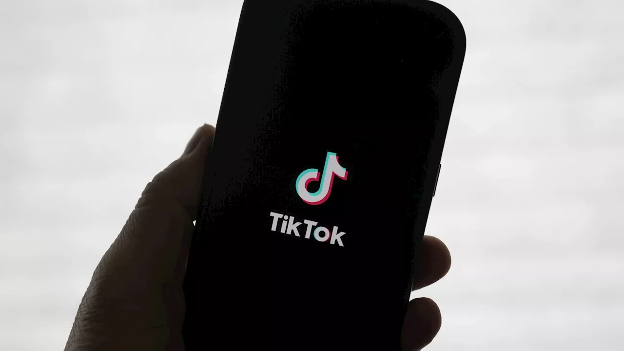 Perplexity AI's bid for TikTok could give US government 50% stake