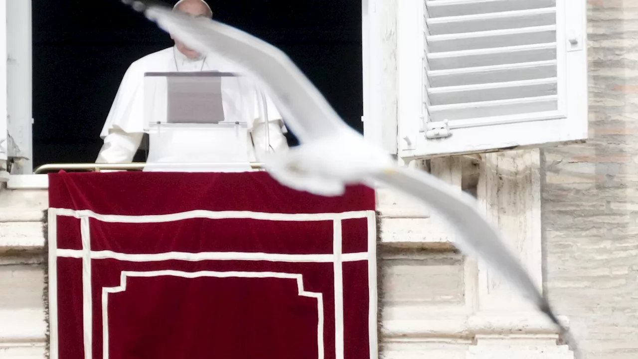 Pope Francis Delivers Angelus Noon Prayer at Vatican