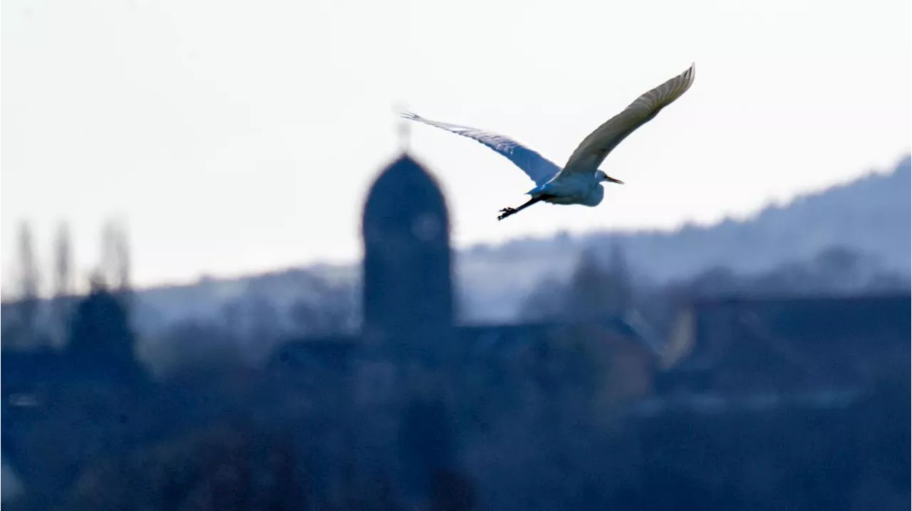 Wetter in Bayern: Mischung aus Regen, Schnee und Sonne