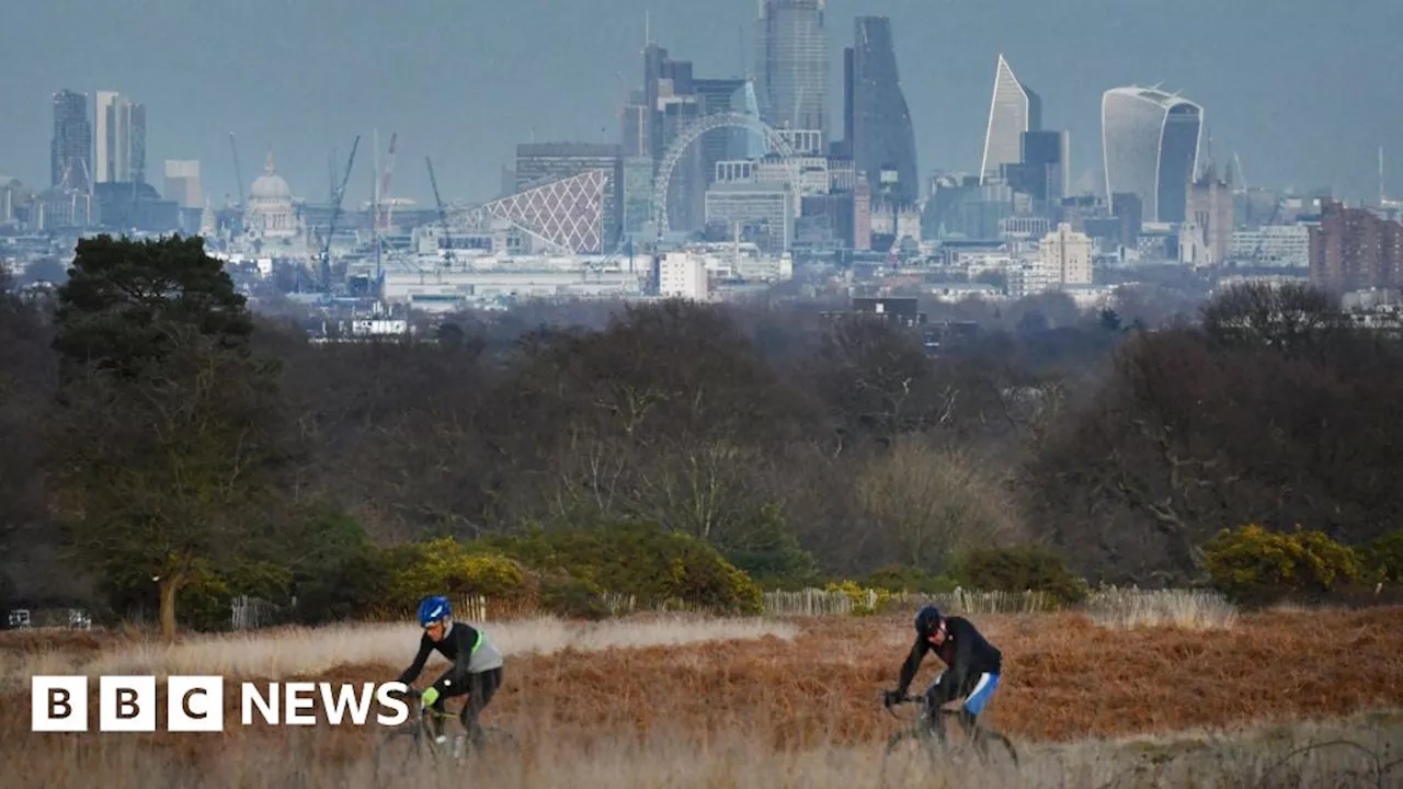 Calls to Protect Royal Parks Police Amid Met Funding Crisis