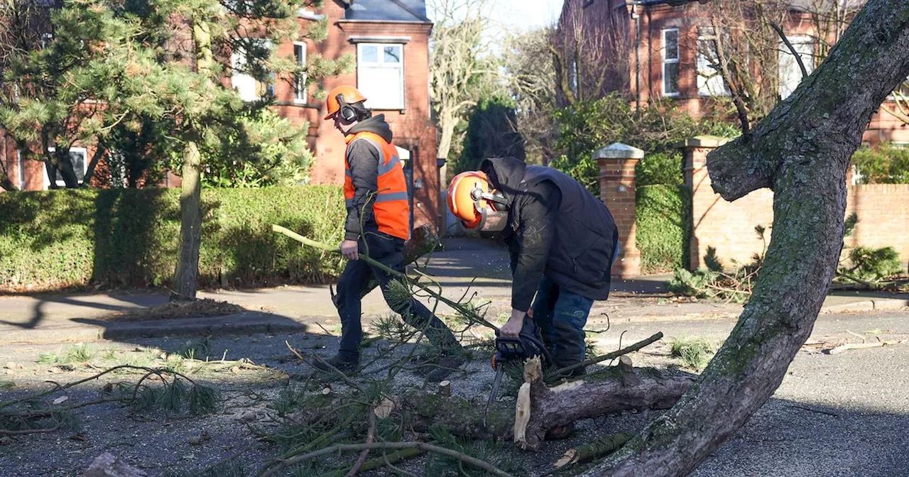 Over 100,000 Still Without Power in Northern Ireland After Storm Eowyn