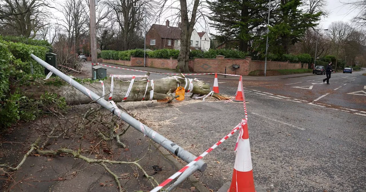 Trading Standards Warns Against Rogue Traders Exploiting Storm Éowyn Damage