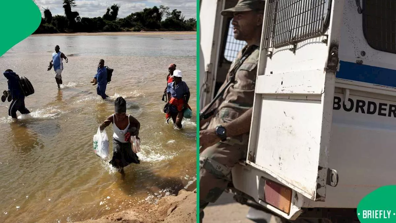 Zimbabweans Risk Life and Limb Crossing Crocodile-Infested Limpopo River, South Africans Concerned