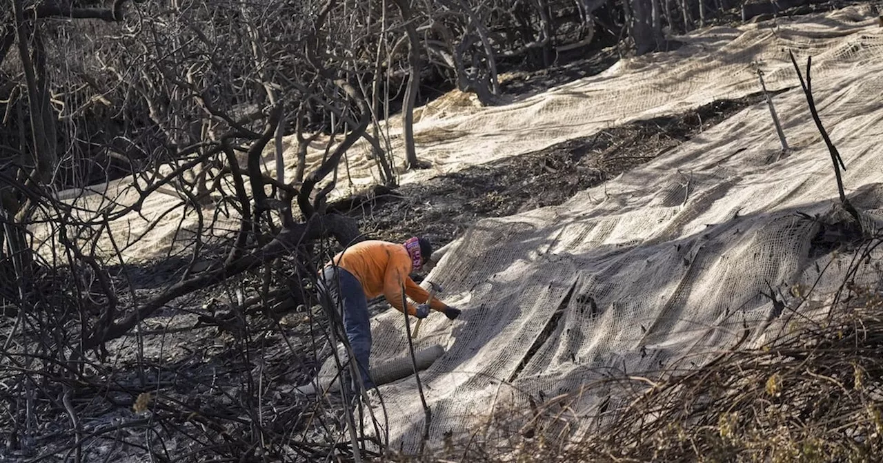 Rain Threatens Southern California Wildfire Aftermath with Mudflows and Runoff