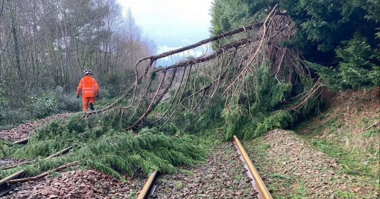 Storm Eowyn Causes Widespread Rail Disruption Across Scotland