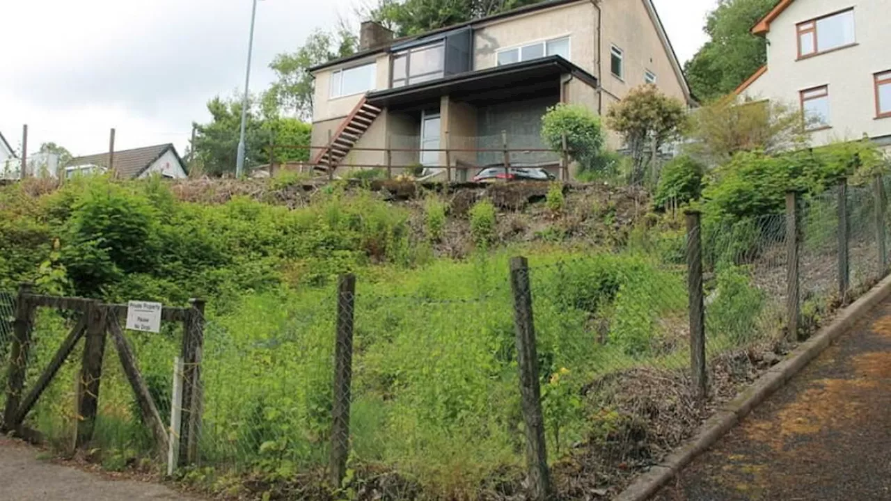 Overgrown Lake Windermere Plot to be Auctioned for £95k - a 'Rare Find' in Affluent Area