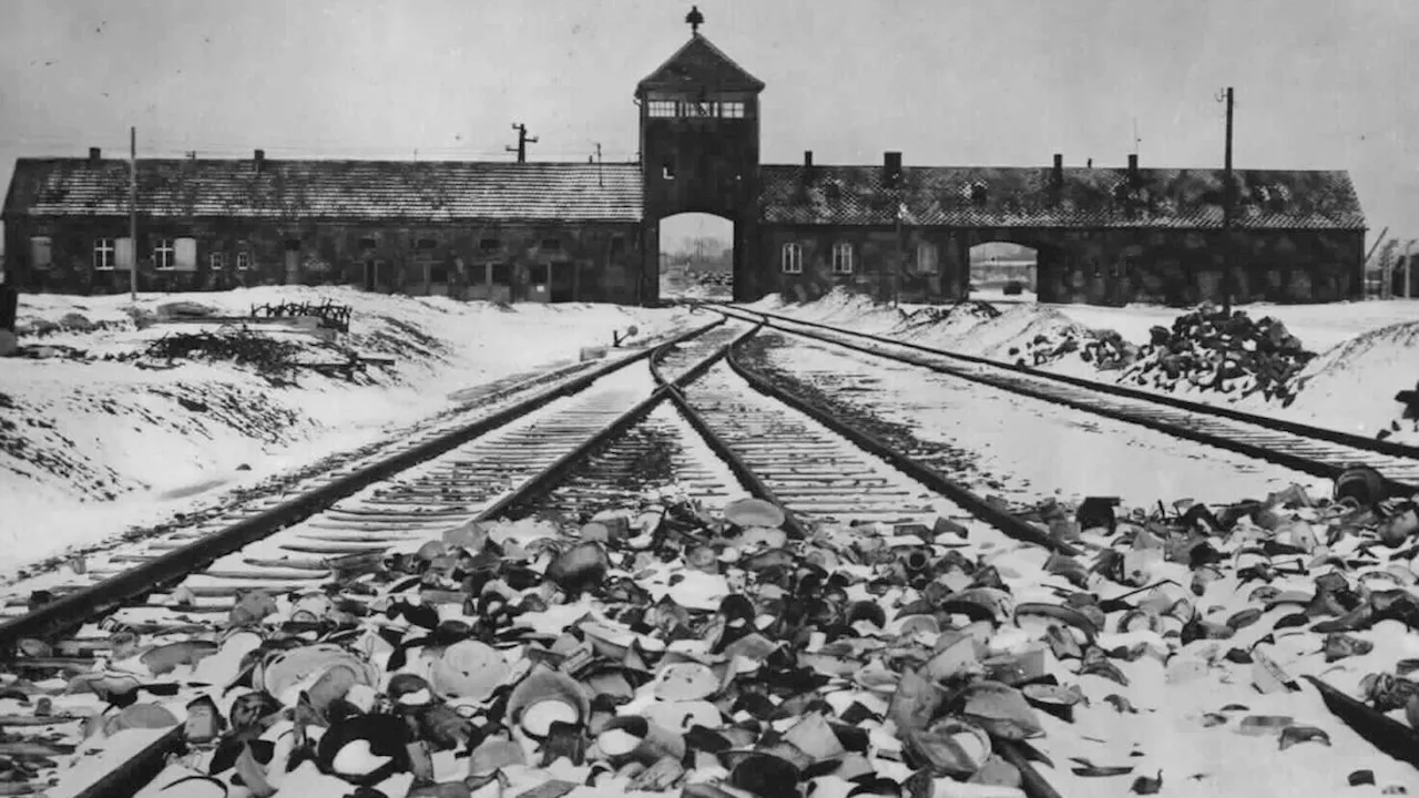 80. Jahrestag der Befreiung: Das Grauen von Auschwitz