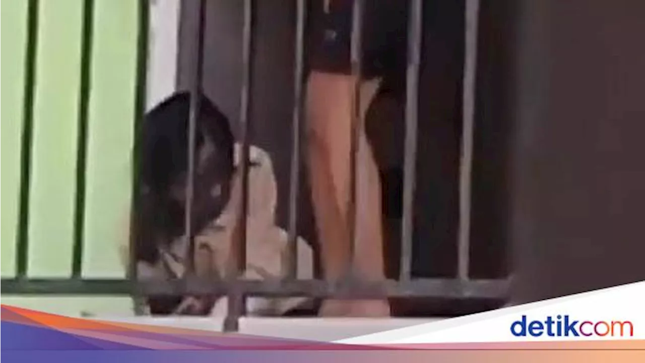 Heboh Pria Injak-Tendang Pelajar Putri di Banggai, Polisi Buru Pelaku