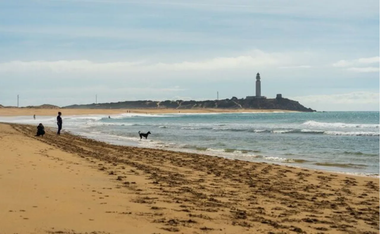 IA recomienda las mejores playas de Sudamérica