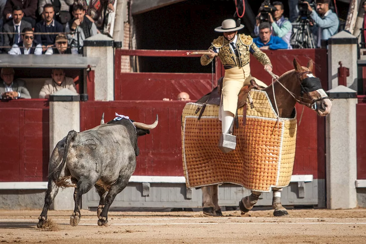 Plaza de Toros de Las Ventas inaugura la temporada 2025 con corridas y novilladas