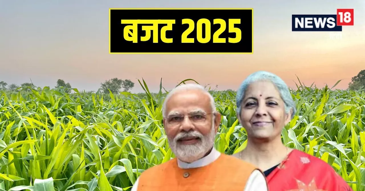 बजट 2023: किसानों के लिए उम्मीदें, ग्रामीण विकास पर फोकस