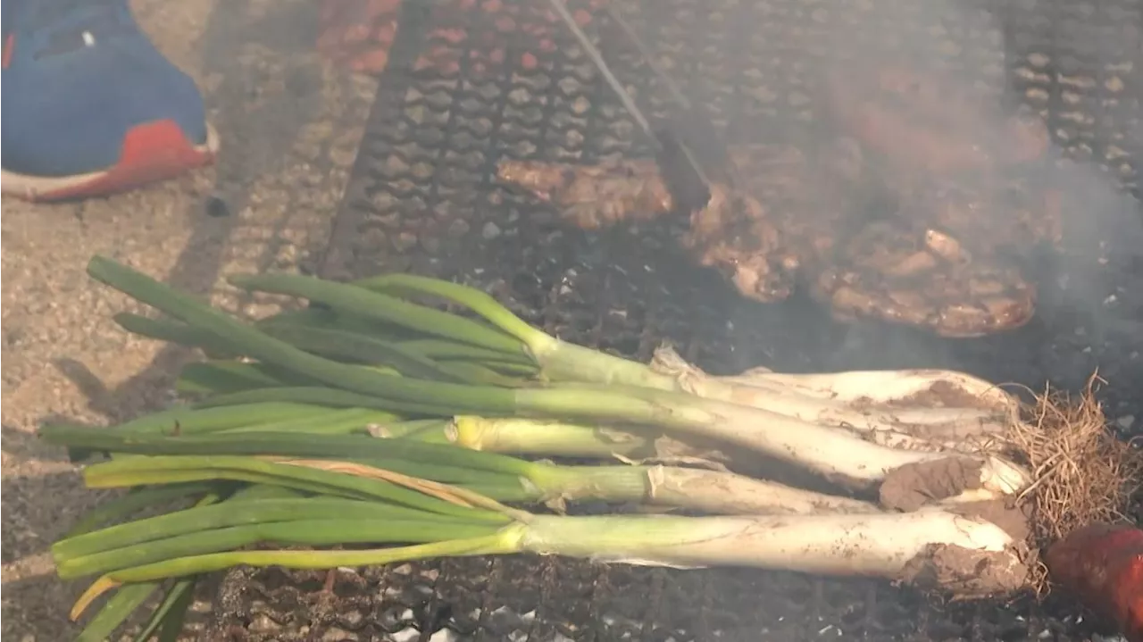 Valls celebra su gran fiesta de los calçots con 100.000 cebollas