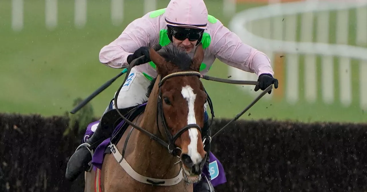 Faugheen's Relative Maughreen Faces €310,000 Purchase in Punchestown Hurdle Debut