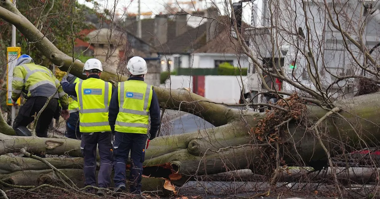 Storm Herminia to batter Ireland as clean-up from Eowyn continues