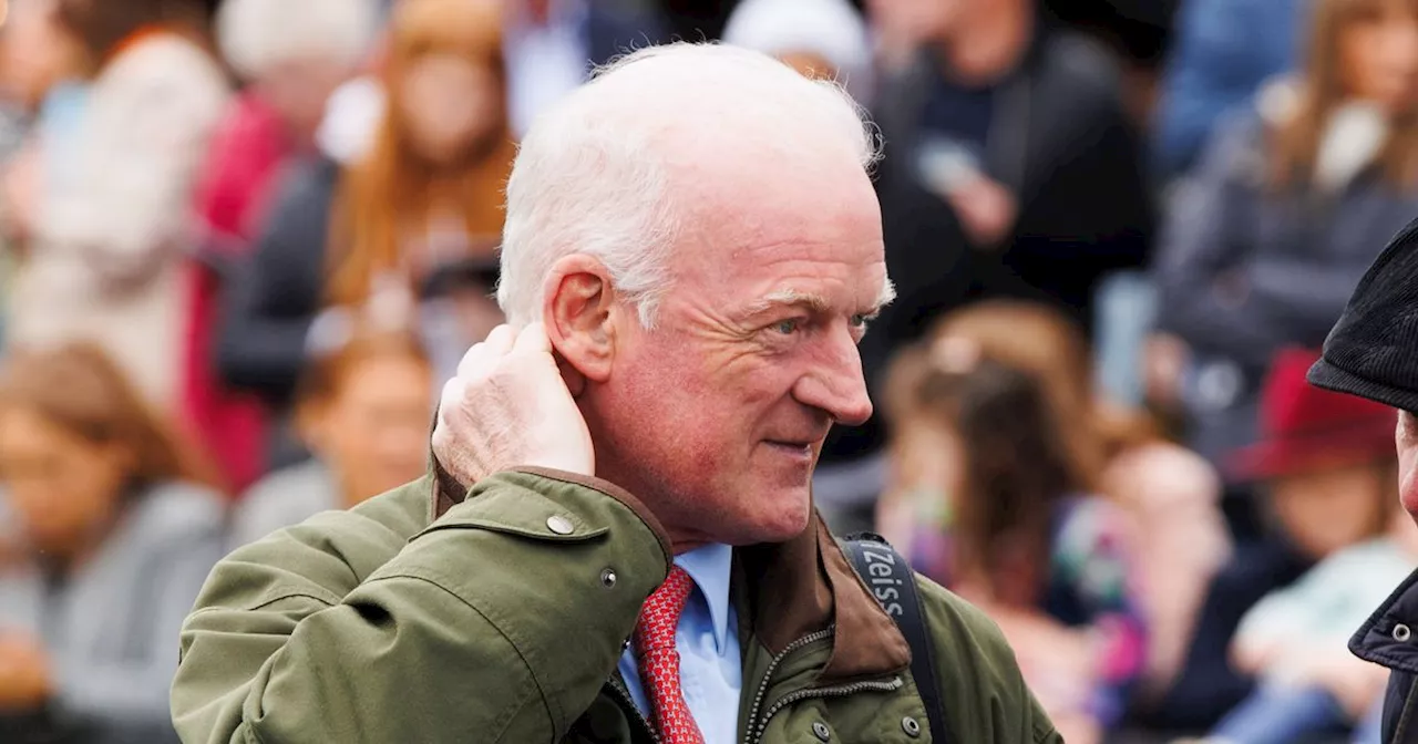 Willie Mullins' Champion Hurdle dark horse dazzles at Naas