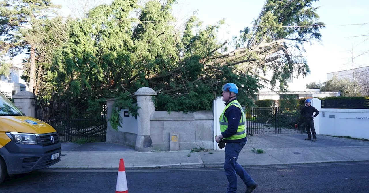 Ireland weather: Met Éireann issue new wind and rain warnings as 300,000 properties remain without power