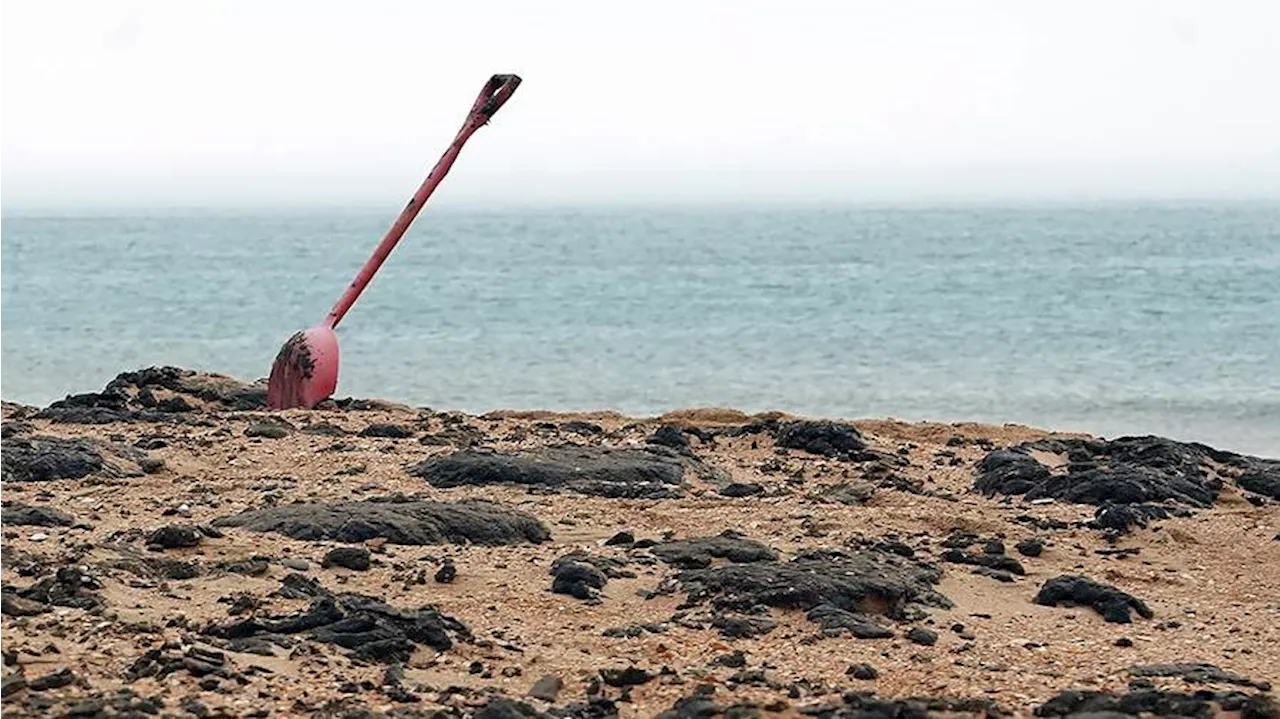 Новые выбросы мазута обнаружены на побережье Черного моря