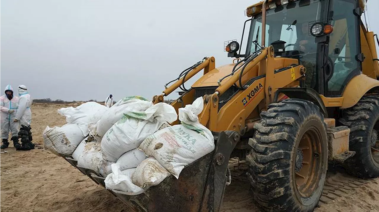 Разлив мазута в Черном море: полигон в Ростовской области не готов к утилизации