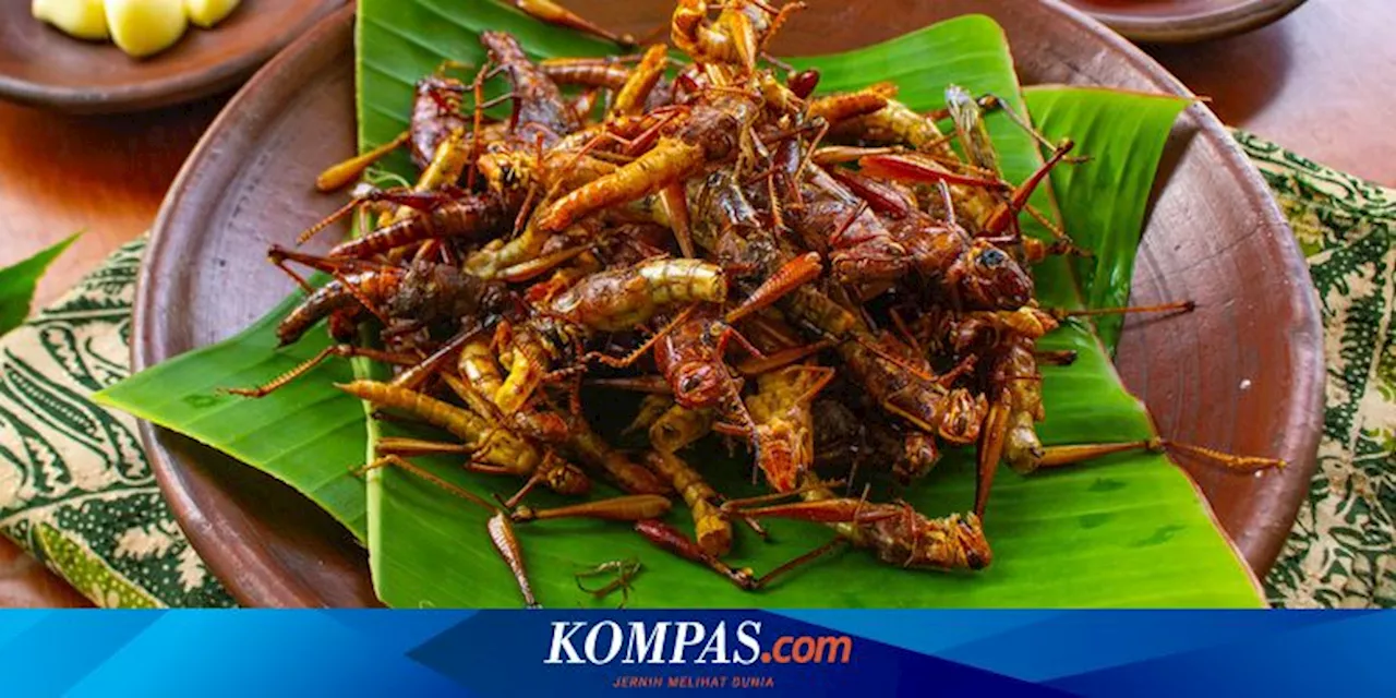 Ahli Gizi Pertanyakan Rencana Menu Serangga untuk Makan Bergizi Gratis di Daerah Tertentu