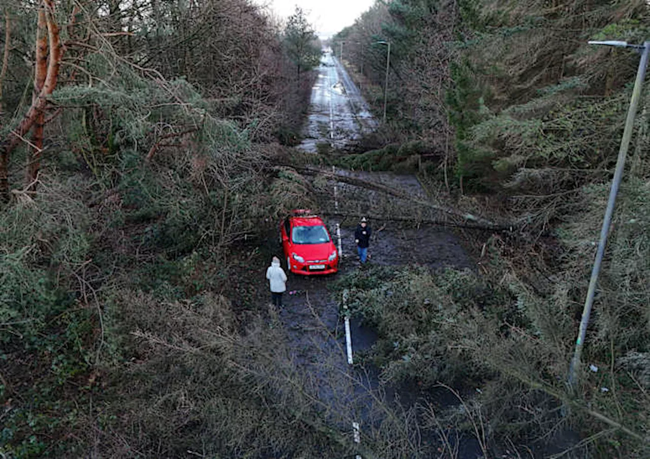 Storm Eowyn Ravages Ireland, Leaves Hundreds of Thousands Without Power